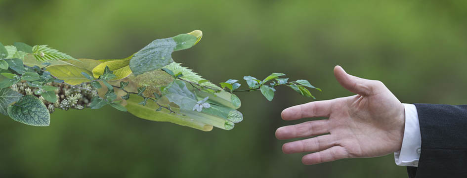 carer banner